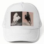 Stallions by DiDi hats