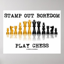 Stamp Out Boredom Play Chess (Reflective Chess)