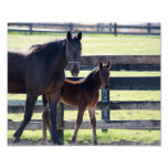 Stand By Me 10x8 Photographic Print