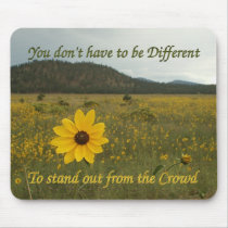 Stand Out from the Crowd