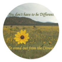 Stand Out from the Crowd