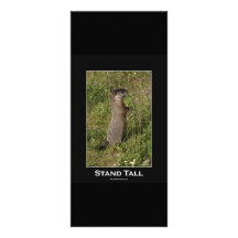 Stand Tall Marmot Card Rack Card Template