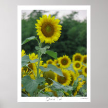 Stand Tall Print