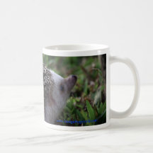 standard hedgehog mug