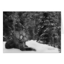 Standard Poodle  card
