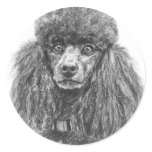 Standard Poodle Sketch stickers