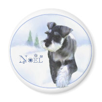 Standard Schnauzer Noel