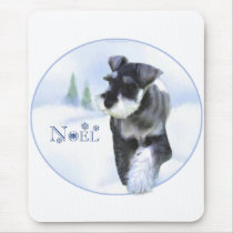 Standard Schnauzer Noel