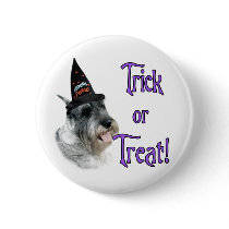 Standard Schnauzer Trick