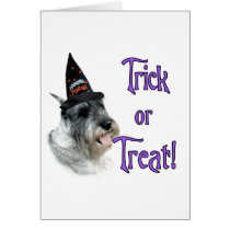 Standard Schnauzer Trick