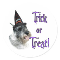 Standard Schnauzer Trick