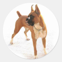 Standing boxer sticker