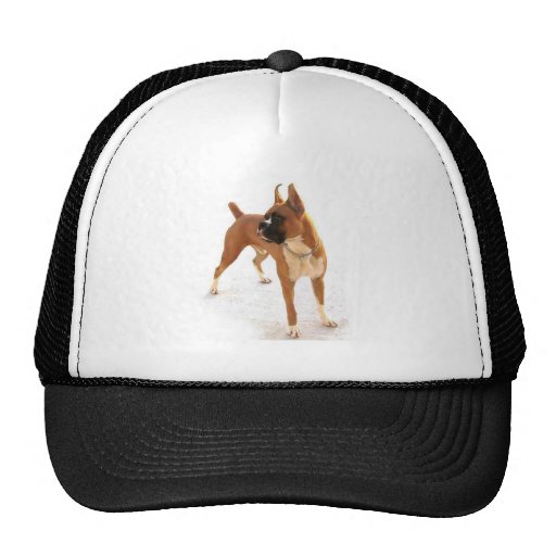 Standing fawn boxer hat