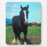 Standing Shire Mouse Mats