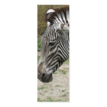 Standing Still Zebra Bookmark Business Card Templates