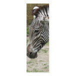 Standing Still Zebra Bookmark business cards