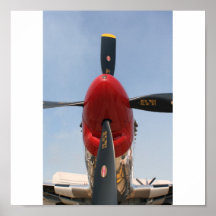 "Stang" Print