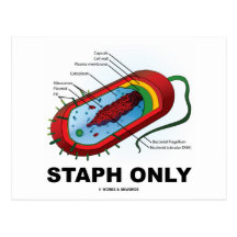Staph Only (Bacteria Health Medicine Humour) Post Cards