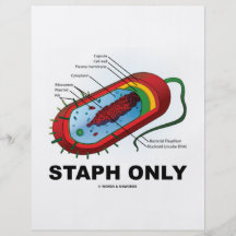 Staph Only (Prokaryote Health Medicine Humour) Personalised Flyer