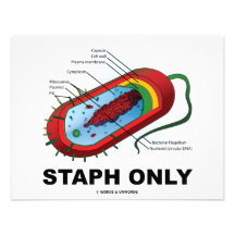 Staph Only (Prokaryote Health Medicine Humour) Personalized Invite