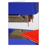 Staple Diet cards