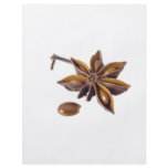 Star anise flyers