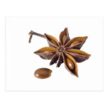 Star anise post card