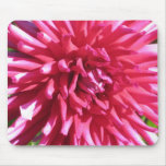 Star Dahlia mousepads