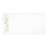 Star Dance photo cards