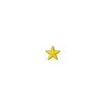 Star Embroidered Hooded Sweatshirt