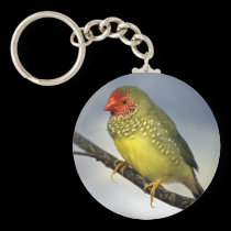 Star Finch Keyring keychains