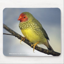 Star Finch Mousemat mousepads