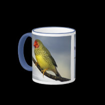 Star Finch Mug