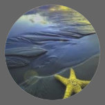 Star Fish Sticker stickers