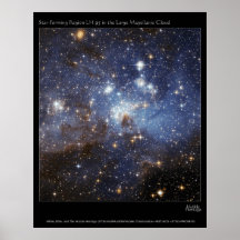 Star-Forming Region LH 95 in the Large Magellanic Poster