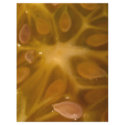 star fruit flyers