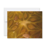 star fruit invitations