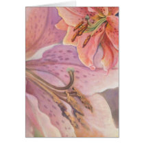 Star Gazer Lily Card