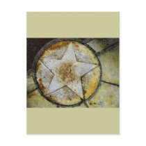 Star Gazer