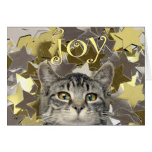 Star Kitten Greeting Cards
