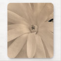 Star Magnolia Bloom mousepads