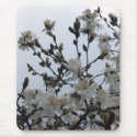 Star Magnolia Blossoms mousepads