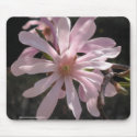 Star Magnolia mousepads