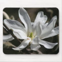Star Magnolia mousepads