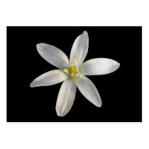 Star of Bethlehem ~ ATC card