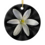Star of Bethlehem flower ~ ornament