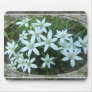 Star of Bethlehem lace ~ mousepad