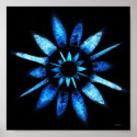 star posters