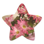 star rated perons stickers