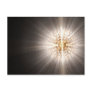 Starburst Postcard